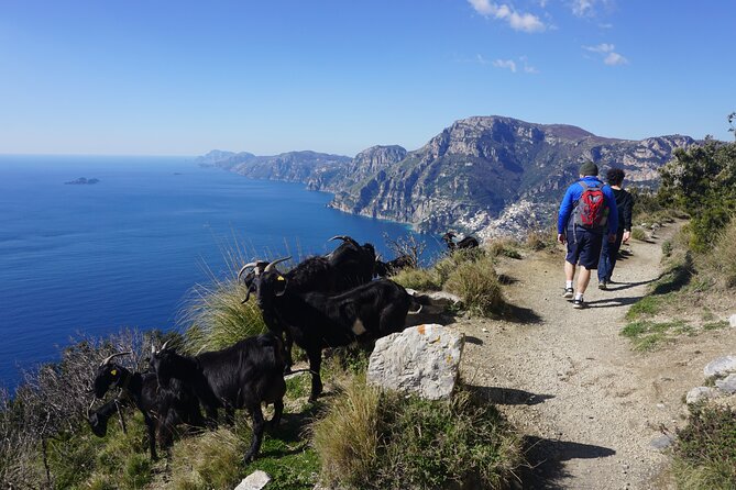 Trekking of the Amalfi Coast - 4 Days / 3 Nights - Small Group Energy (Up to 15) and a Real Guide at the Front