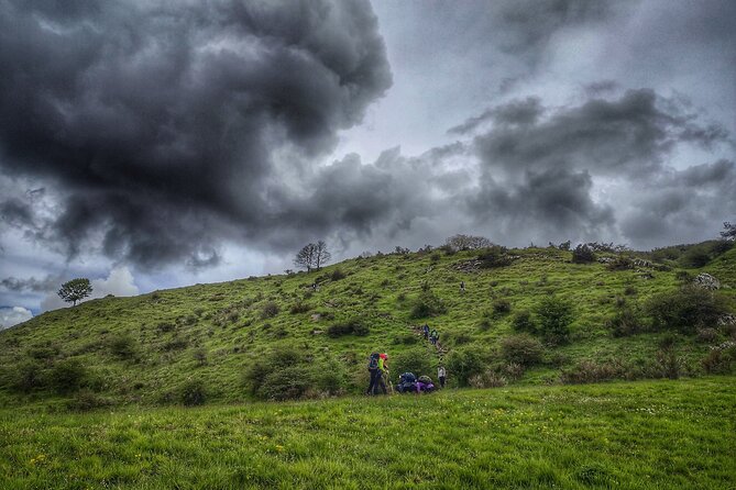 Trekking on the roof of Tuscany - The Walking Reality: Time, Altitude Gain, and How the Group Pace Works