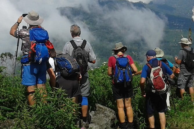 Trekking & Picnic in The Tea Plantation From Ella, Haputale & Bandarawela - Key things that make this tea trek worth your time
