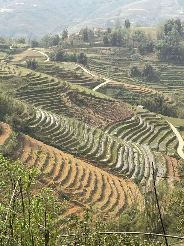 Trekking Sapa 1 Day With Local Guide, Terraced Rice Fields - Into Muong Hoa Valley: terraces, buffalo, and Hoang Lien Son views