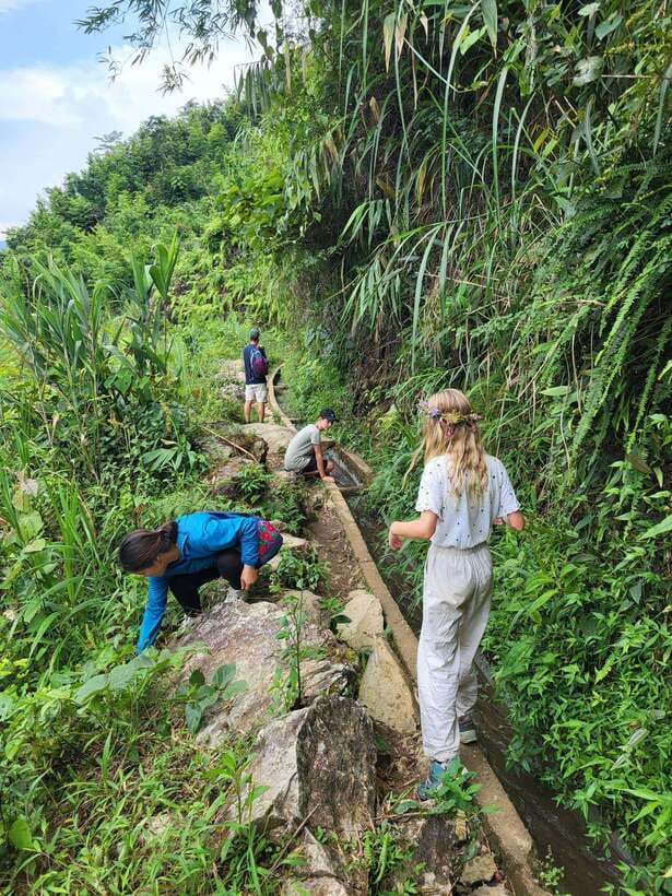 Trekking Sapa 1 Day With Local Guide, Terraced Rice Fields - The morning start in Sapa Town (and what to expect at 8:00–8:30)