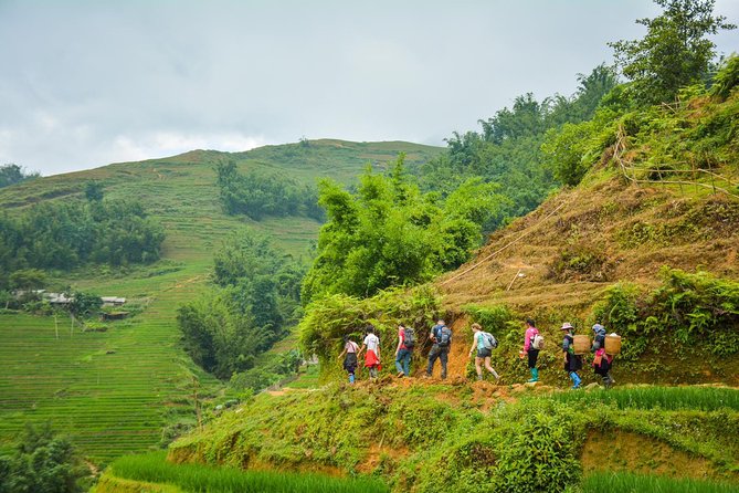 Trekking Through Rice Terraced Fields - 1Day - Rice terraces and hill-tribe villages: what this day trek delivers