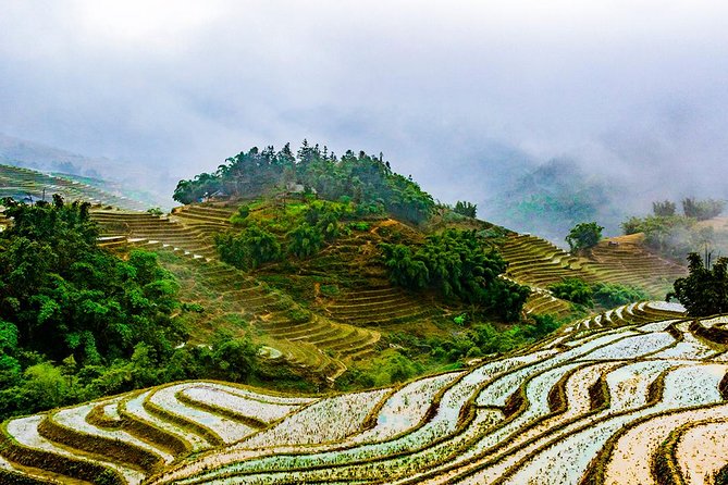 Trekking Through Rice Terraced Fields - 1Day - The cultural lessons that matter (and where to ask)