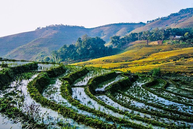 Trekking Through Rice Terraced Fields - 1Day - Included lunch and water: good energy for a long walk