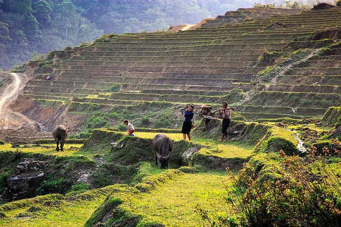 Trekking Through Rice Terraced Fields - 1Day - Fitness, footwear, and weather: the stuff that decides comfort