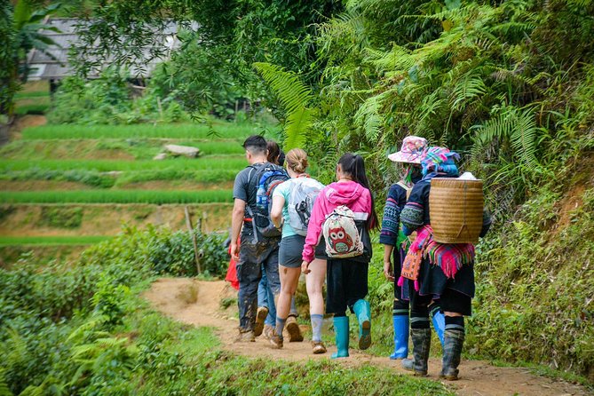 Trekking Through Rice Terraced Fields - 1Day - Transport and getting back to Sapa without stress