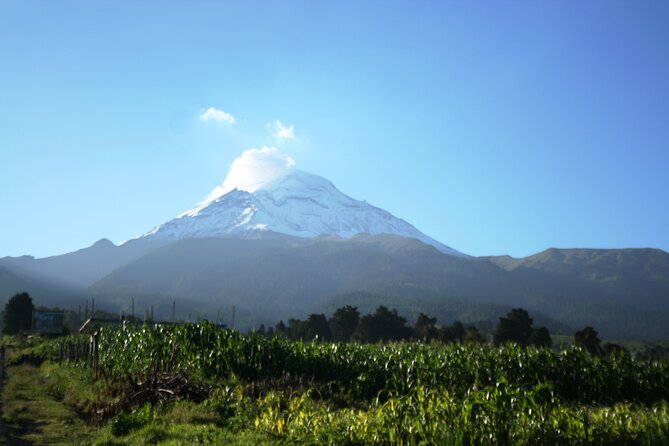 Trekking Through The Volcanoes - Entering the national park from Paso de Cortés
