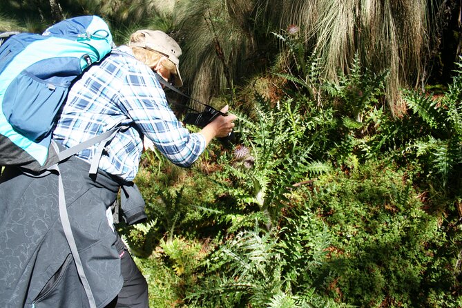 Trekking Through The Volcanoes - The ravine section around Amalacaxco and what you might see