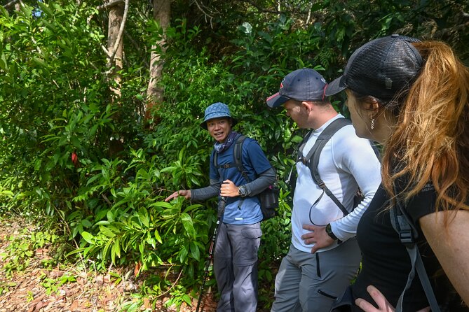 Trekking Tien Son Dinh Phu Quoc - The day’s flow: Tranh Stream and Ham Ninh, in a trekking-friendly order