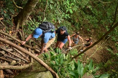 Trekking Tien Son Dinh Phu Quoc - Guides who make the jungle make sense: Si, Hac, and Học in action