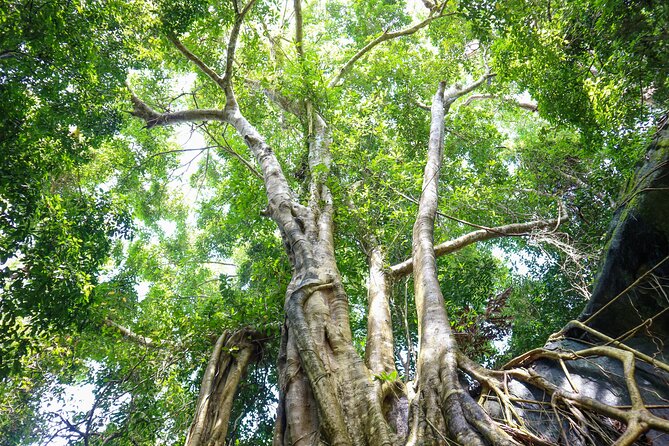 Trekking Tien Son Dinh Phu Quoc - Price and value at $62.92: what you’re paying for (and what you bring)