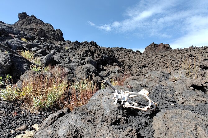 Trekking to Bottoniera Craters - Private Tour Value: What You Pay for at $229.28