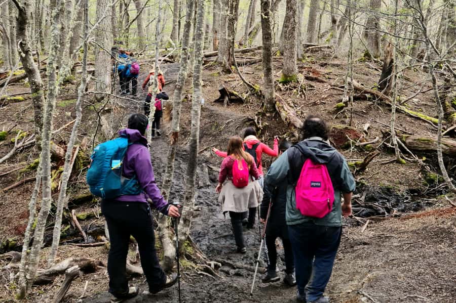 Trekking to Emerald Lagoon - Tierra Mayor Valley: peat bogs, rocks, and why “marked” really matters