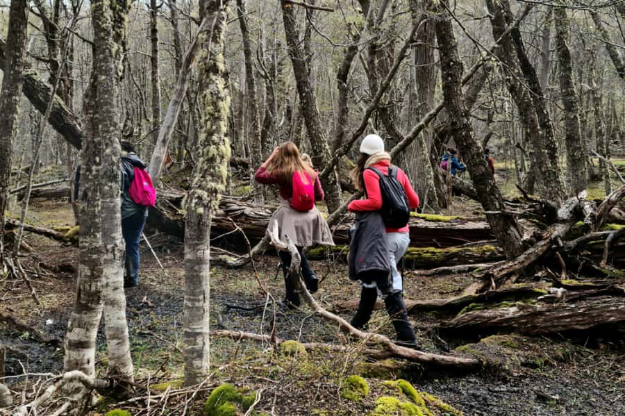 Trekking to Emerald Lagoon - What’s included, and why it matters more than the price tag