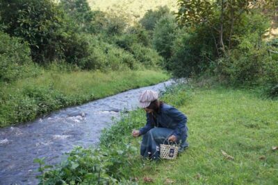 Trekking to Hidden Waterfall & Sturgeon Farm for dog-lovers - Getting There: The Real Test is Finding Twin Beans Farm