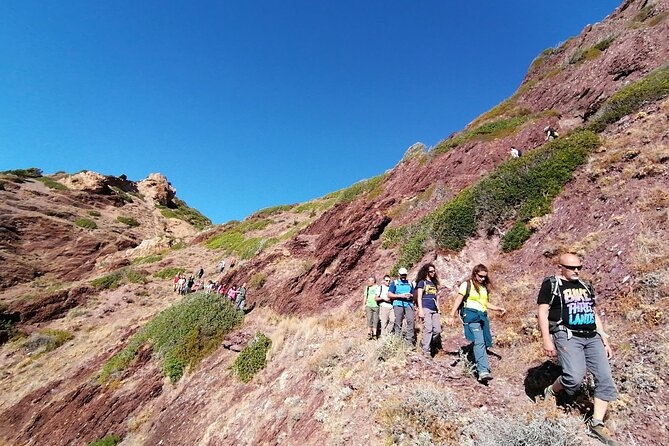 Trekking tour Nebida Masua and Porto Flavia - Key Points You’ll Actually Care About