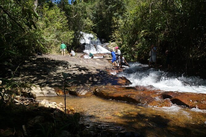 Trekking Tour to Hidden Waterfall & Sturgeon Farm for dog-lovers - Stop 1 at Twin Beans Farm: what you’ll do before the trek really starts
