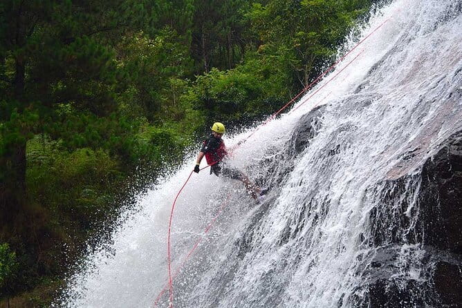 Trekking Tour to Hidden Waterfall & Sturgeon Farm for dog-lovers - Dogs, guides, and the small-group pace that keeps it fun