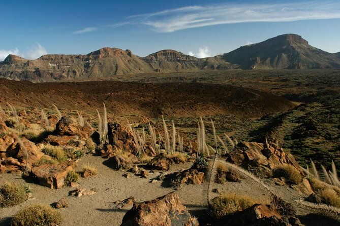 Trekking, wineries, birdwatching, local gastronomy, etc. - Key things to know before you go