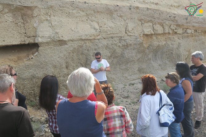 Trekking, wineries, birdwatching, local gastronomy, etc. - The Teide and vulcanology version: learning without the lecture vibe
