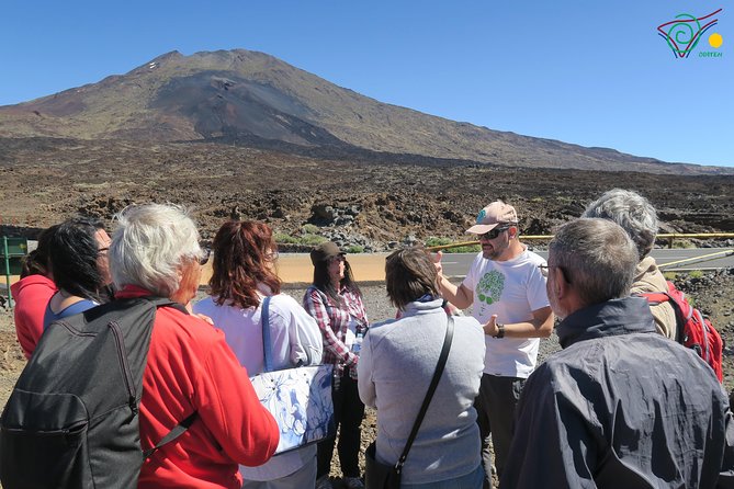 Trekking, wineries, birdwatching, local gastronomy, etc. - Choosing between trekking, birdwatching, wineries, and gastronomy