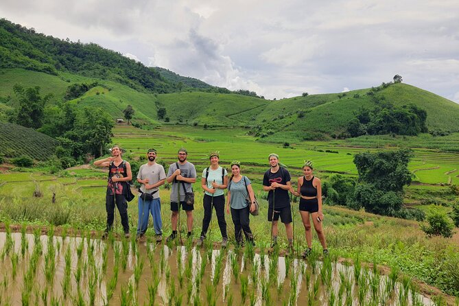 Trekking with Lunch cooked by Bamboo in the Chiang Rai jungle - Key things I’d circle before you go