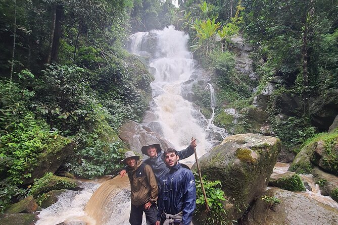 Trekking with Lunch cooked by Bamboo in the Chiang Rai jungle - The bamboo-cooked lunch: why it’s worth centering your day around