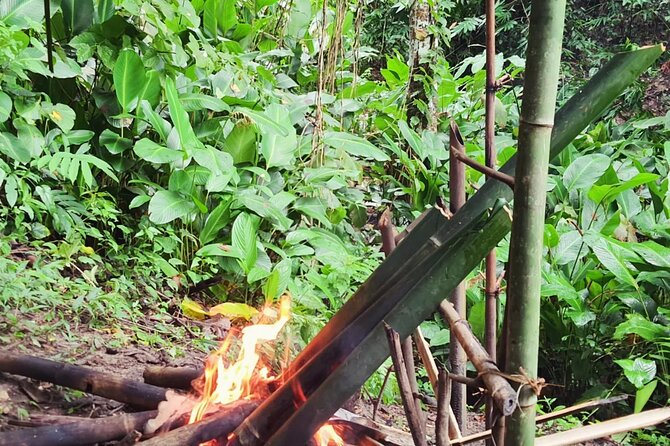 Trekking with Lunch cooked by Bamboo in the Chiang Rai jungle - Practical tips before you go (so the day feels fun)