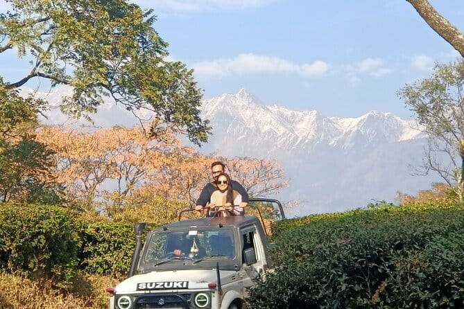 Triund Trek & Snow Line Trek - Day two: the descent back to Dharamkot (and how to finish strong)