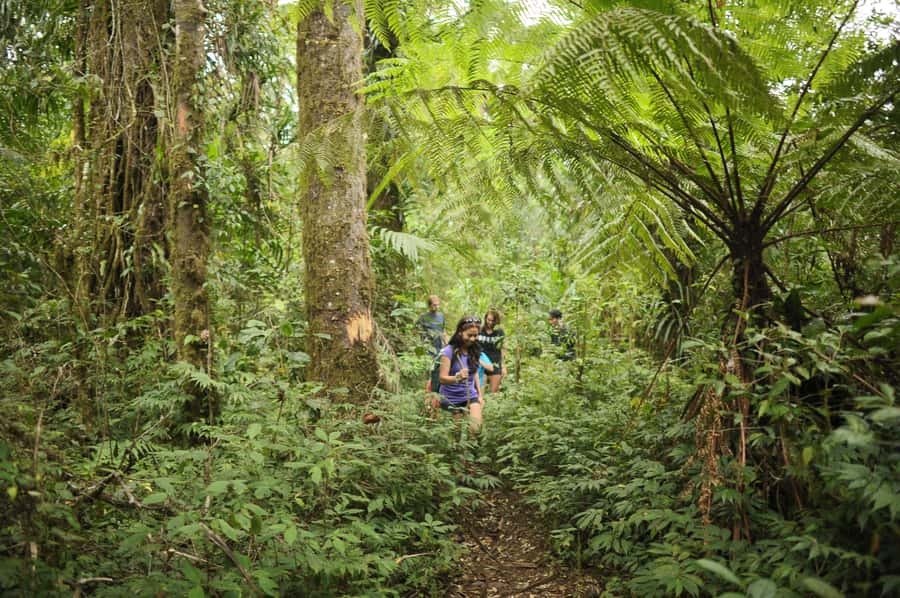 Ubud: Bayad Village, Waterfall and Cave Trek Adventure - Key things I’d plan around