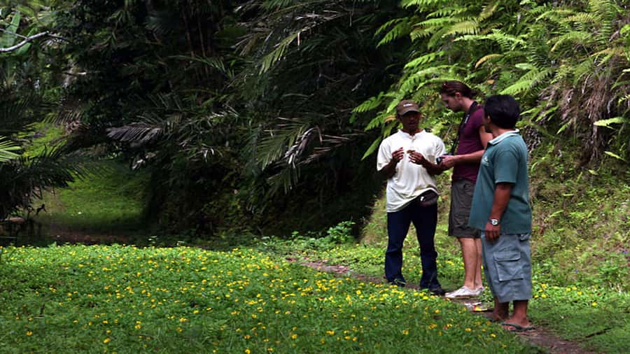 Ubud: Bayad Village, Waterfall and Cave Trek Adventure - Goa Maya: sacred Hindu statues plus a spice and farm stop