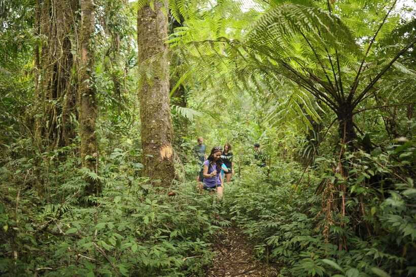 Ubud: Bayad Village, Waterfall and Cave Trek Adventure - Caves and waterfalls: what the route actually gives you