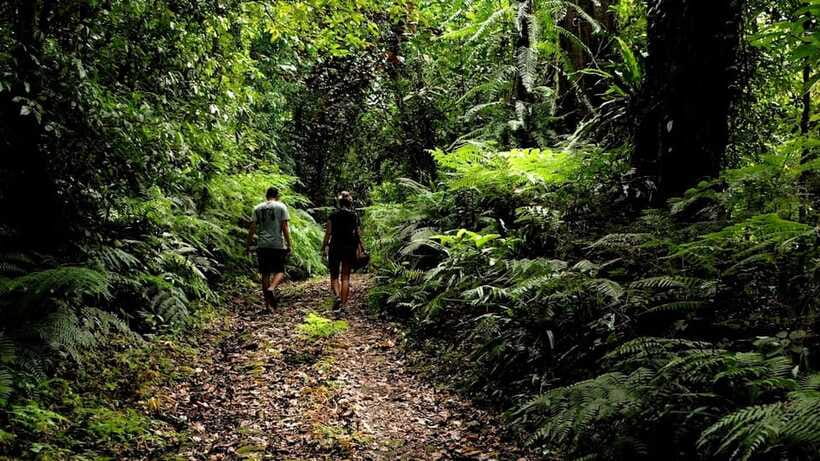 Ubud: Bayad Village, Waterfall and Cave Trek Adventure - Comfort, gear, and who this trip suits best