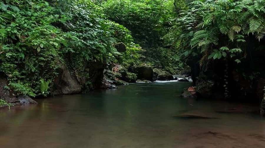 Ubud: Bayad Village, Waterfall and Cave Trek Adventure - Pickup timing and how to pace a 6-hour day