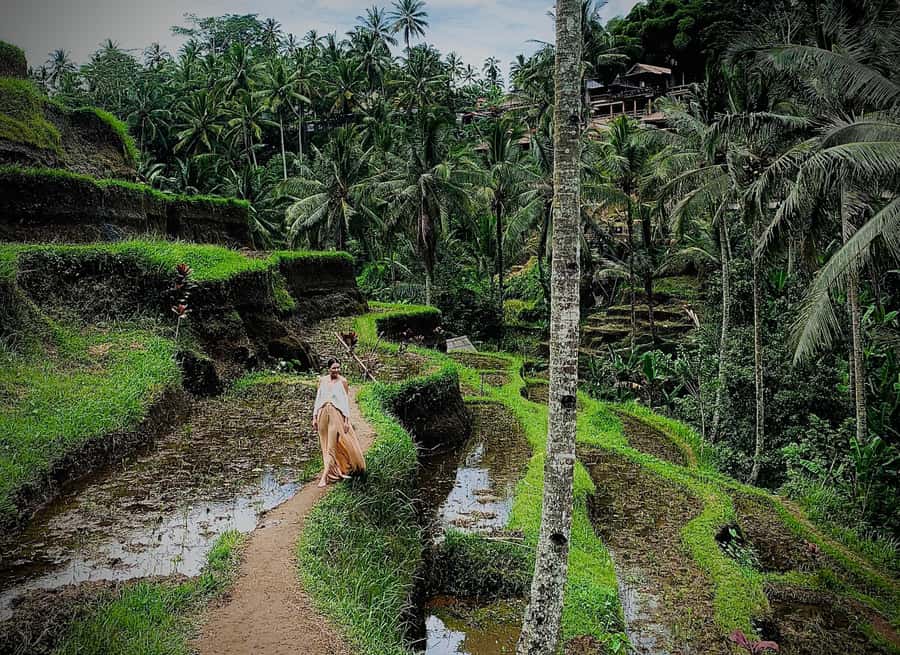 Ubud: Rice Terrace, Holy Water Temple & Waterfalls Trek Tour - Kanto Lampo Waterfall: tiered cascades and photo angles