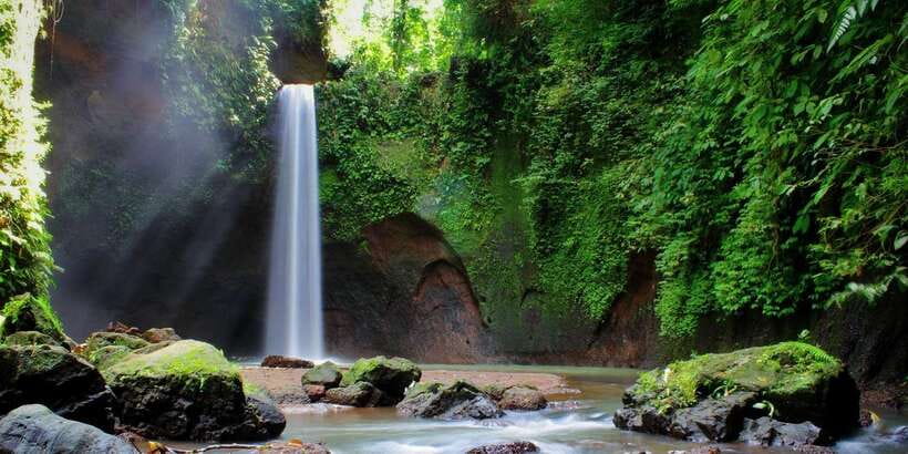 Ubud: Rice Terrace, Holy Water Temple & Waterfalls Trek Tour - Add-ons that genuinely change your day