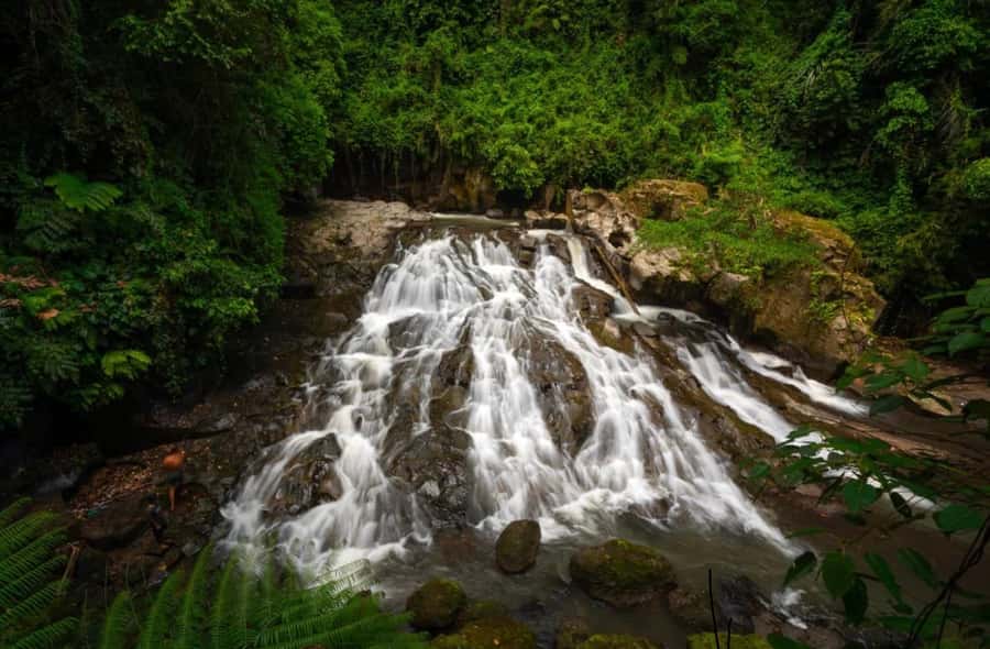Ubud: Trekking Through Rivers & Forests to Three Waterfalls - What to bring for a wet, wild few hours