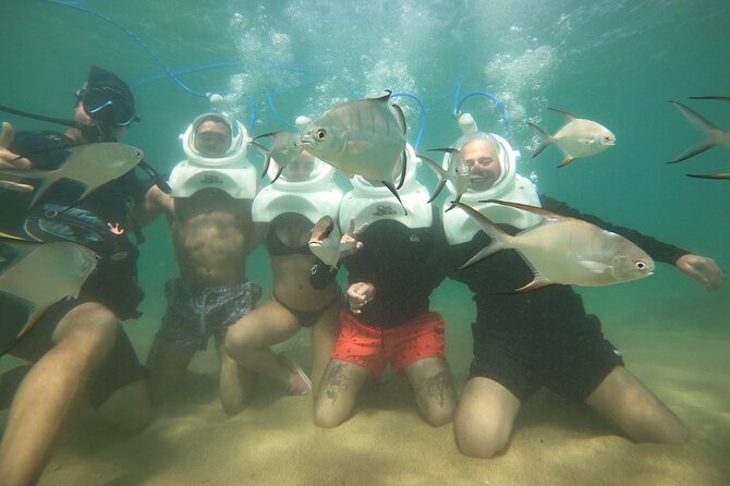 Underwater Sea Trek in San Juan: Explore Beneath the Waves - Walking the Seabed: What You’ll Actually See