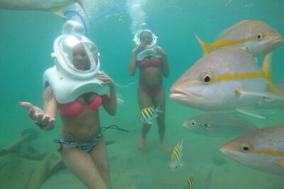 Underwater Sea Trek in San Juan: Explore Beneath the Waves - Getting Started at Caribe Hilton’s Private Beach