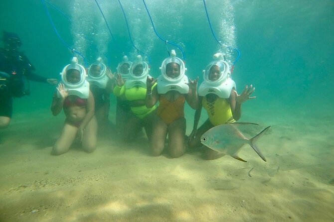 Underwater Sea Trek in San Juan: Explore Beneath the Waves - The Marine Life Lesson After You’re Back on Shore