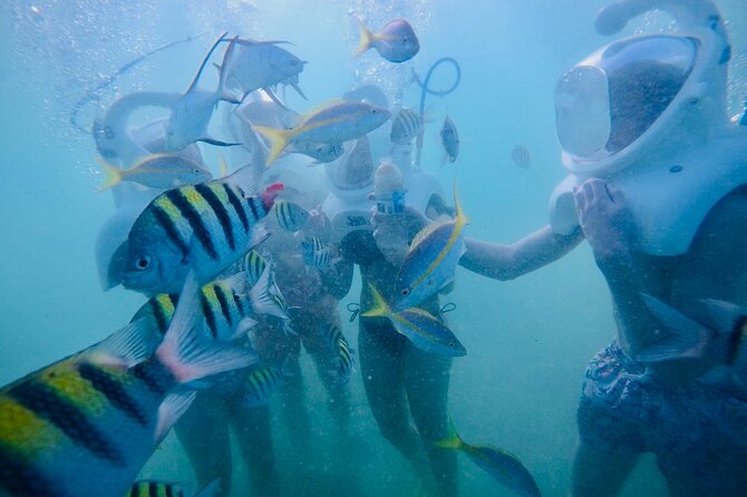 Underwater Sea Trek in San Juan: Explore Beneath the Waves - Weather and Sea Conditions: The Big Variable