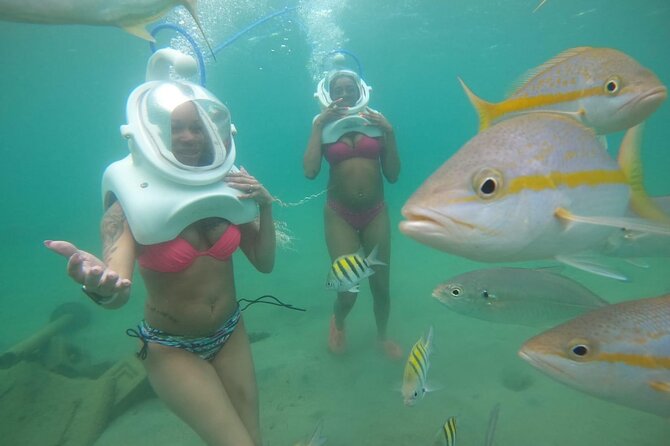 Underwater Sea Trek in San Juan: Explore Beneath the Waves - Getting Started at Caribe Hilton’s Private Beach