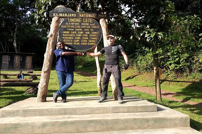Unforgettable 8 Days Lemosho Route Trekking on Kilimanjaro - Day 1 in the Rain Forest: Lemosho Glades to Mti Mkubwa Camp