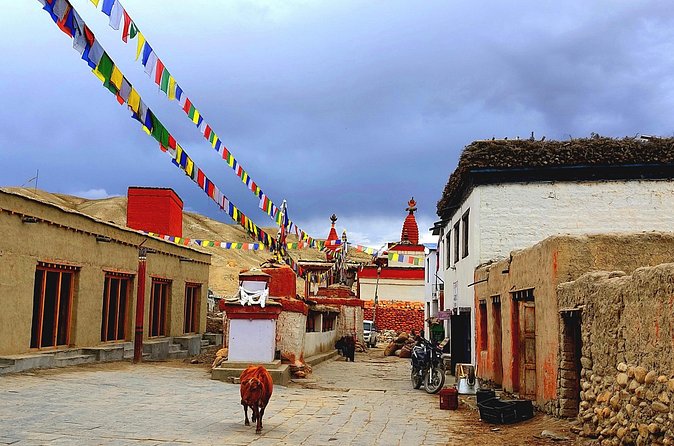 Upper Mustang Trek 14 Days - Tsarang and the Fort Feel: Getting Closer to the Capital