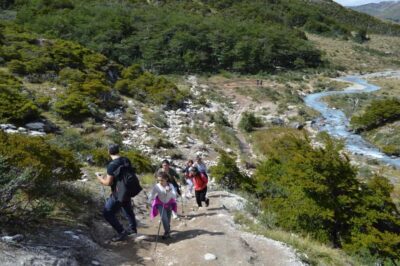 Ushuaia: Laguna Esmeralda Guided Trek with Box Lunch - The Trek Itself: Andean Footing Through Sub-Antarctic Forest