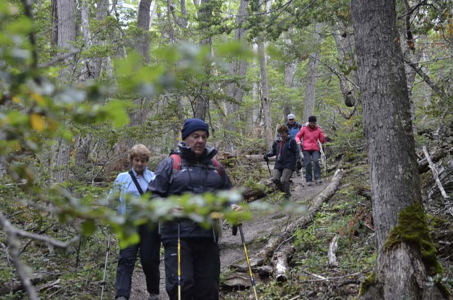 Ushuaia: Tierra del Fuego Trekking and Canoeing - Price and value: what you’re really paying for