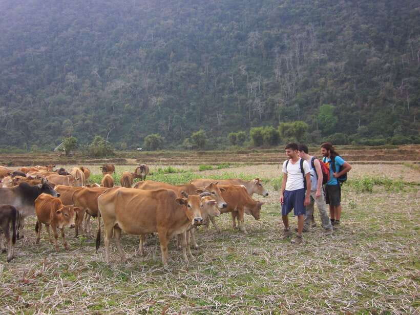 Vang Vieng: Jungle & Caves Full-Day Private Trekking Tour - Key moments I think you’ll remember most
