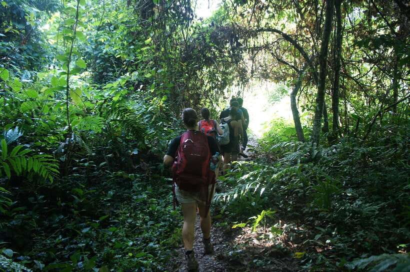 Vang Vieng: Jungle & Caves Full-Day Private Trekking Tour - The 1500 m ridge hike: where the views are worth the effort