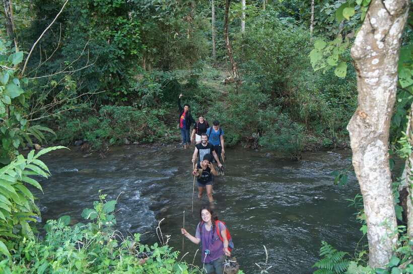 Vang Vieng: Jungle & Caves Full-Day Private Trekking Tour - Should you book this private trekking tour?