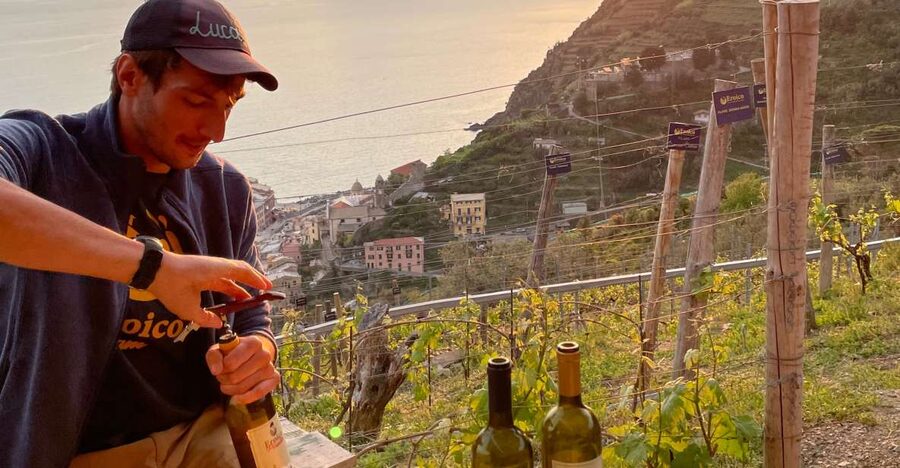 Vernazza: Panoramic Vineyard Trekking Tour w/ Wine Tasting - Entering the Eroico Vineyard experience from Vernazza